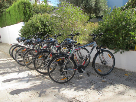 Groups can go on with those bikes for an excursion on the Costa del Sol