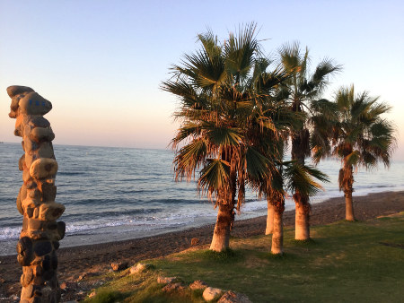 Mediterranean beach with palm trees in Los Rubios near the centre